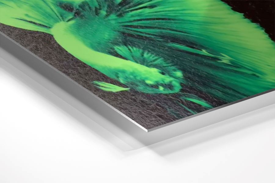 24x30" Duraluxe Aluminum Sublimation Panels Blank Panels Duraluxe 